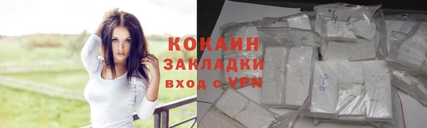дживик Алексин