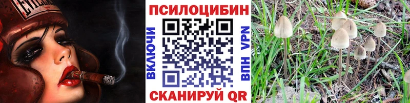 магазин    Стародуб  Псилоцибиновые грибы Magic Shrooms 